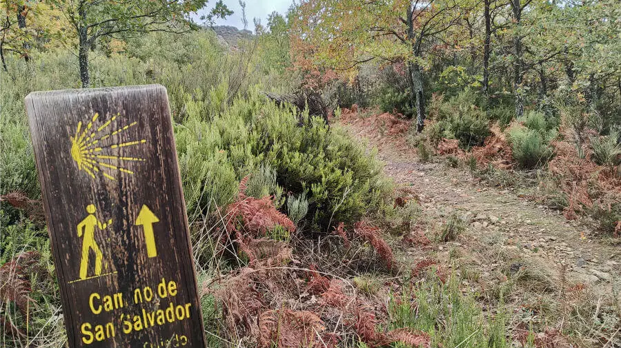 Señal indicadora del Camino de San Salvador Señal indicadora del Camino de San Salvador :: Albergues del Camino de Santiago
