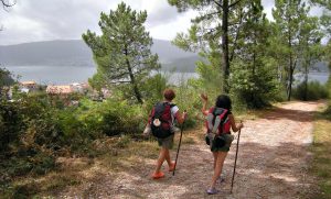 Camino de Santiago Portugués por la Costa :: Guía del Camino de Santiago