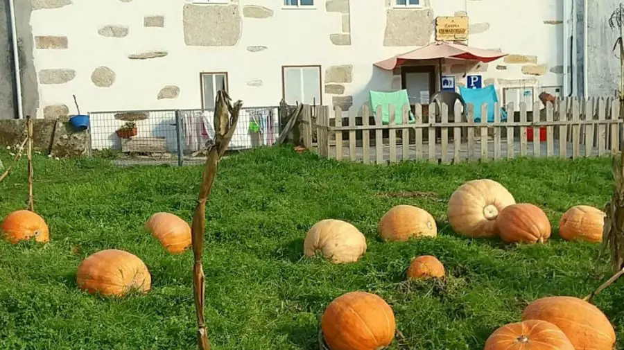 Albergue A Casina di Marcello, Palas de Rei, Lugo :: Albergues del Camino de Santiago
