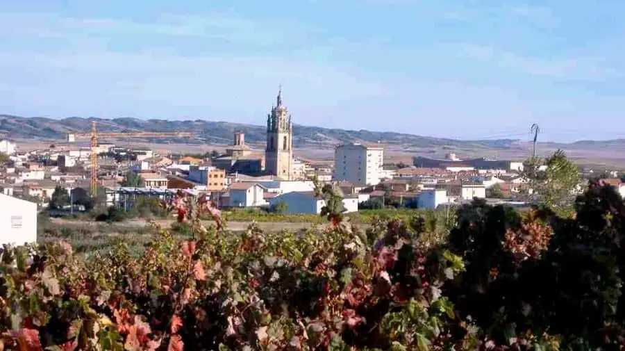 Vista de Los Arcos, Navarra - Camino Francés :: Guía del Camino de Santiago