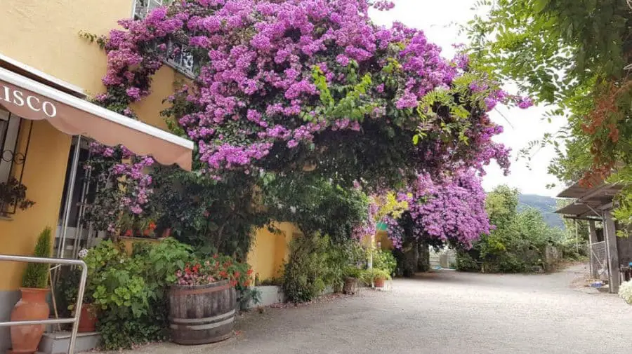 Albergue O Corisco, Saxamonde - Redondela, Pontevedra :: Albergues del Camino de Santiago Portugués