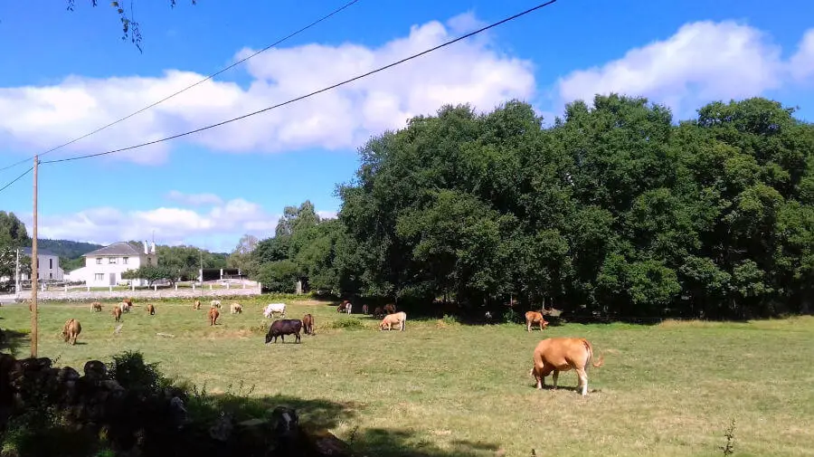 Miraz, Lugo - Camino del Norte :: Guía del Camino de Santiago