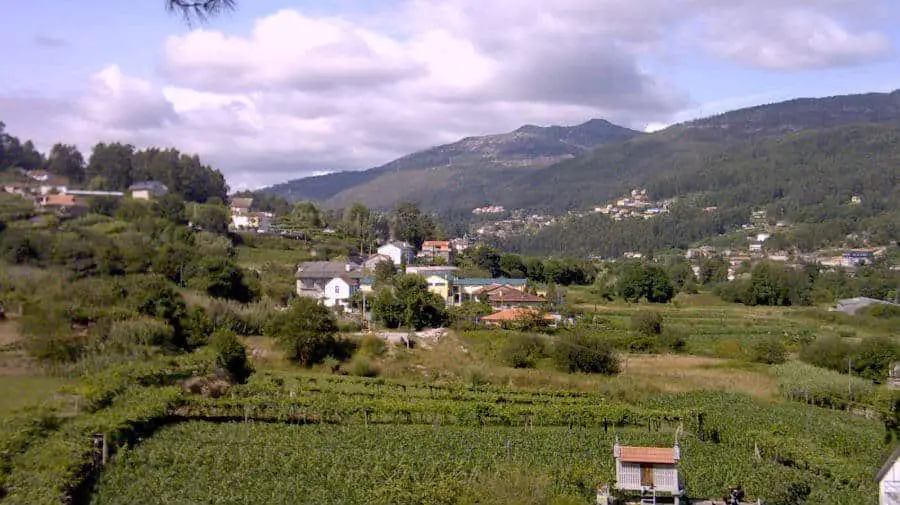 Paisaje de Mos, Pontevedra - Camino Porgugués :: Guía del Camino de Santiago