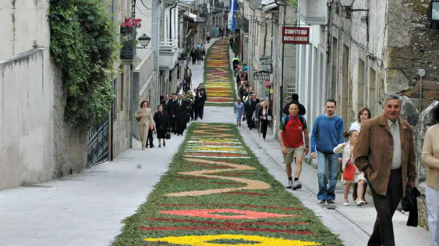 Alfombras florales el día del Corpus Christi, Sarria, Lugo - Camino Francés :: Guía del Camino de Santiago Alfombras florales el día del Corpus Christi, Sarria, Lugo - Camino Francés :: Guía del Camino de Santiago