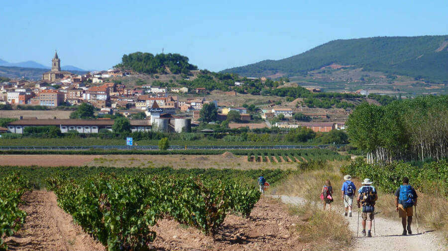 Vista de Navarrete, La Rioja - Camino Francés :: Guía del Camino de Santiago