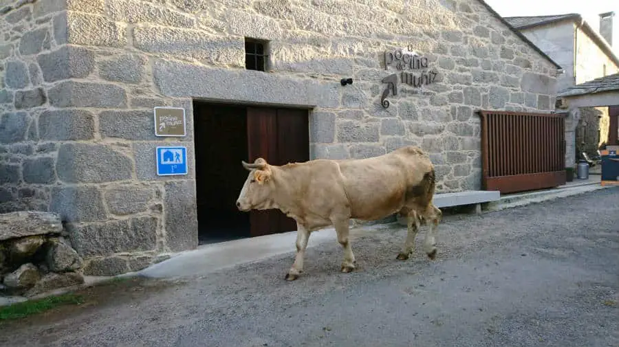 Albergue A Pociña de Muñiz, Vilar de Cas, Lugo - Camino Primitivo :: Albergues del Camino de Santiago