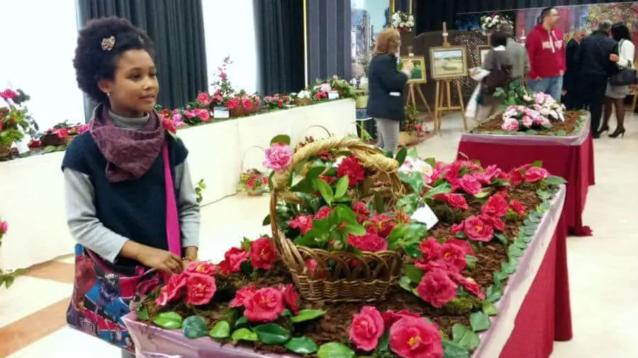 Exposición de camelias en el albergue Virgen Peregrina de Pontevedra - Camino Portugués :: Albergues del Camino de Santiago Exposición de camelias en el albergue Virgen Peregrina de Pontevedra - Camino Portugués :: Albergues del Camino de Santiago