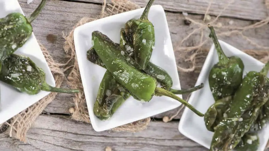 Pimientos de Padrón :: Gastronomía del Camino de Santiago