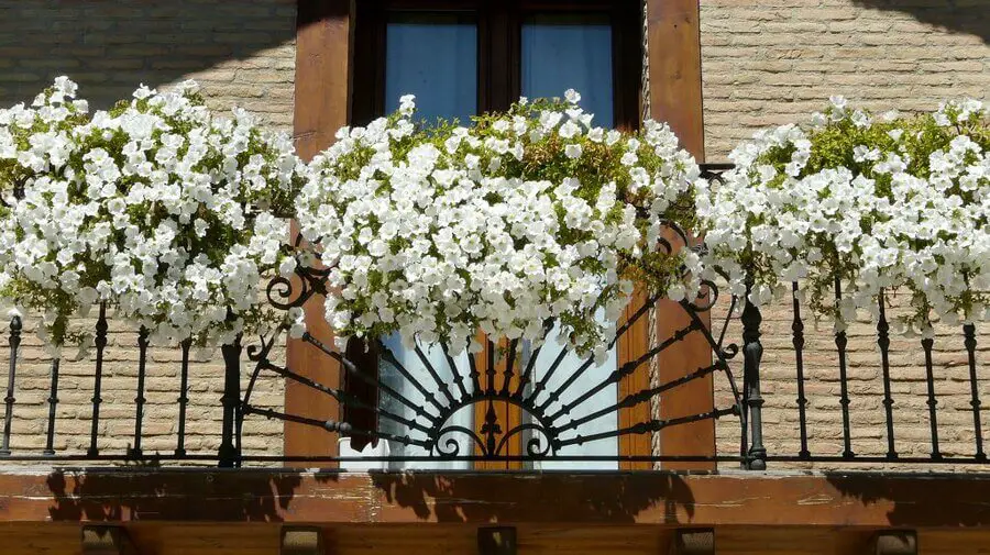 Albergue San Nicolás, Larrasoaña, Navarra - Camino Francés :: Albergues del Camino de Santiago