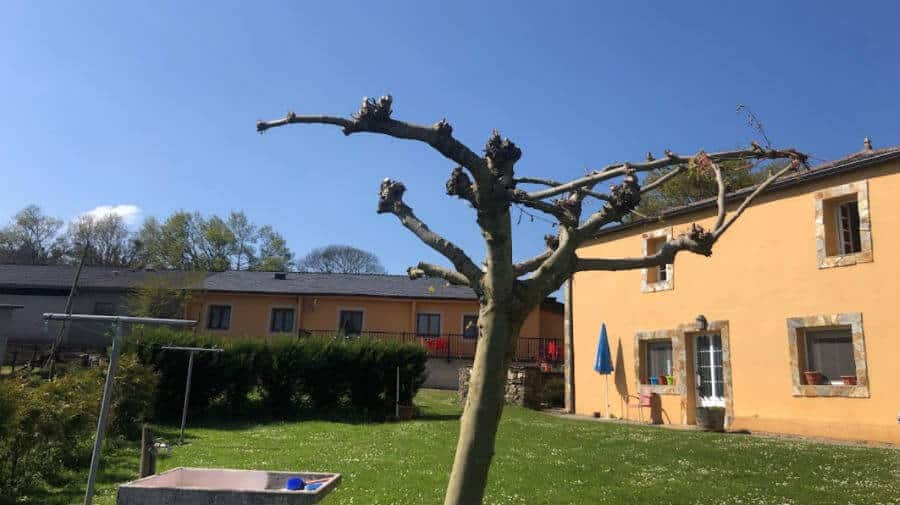 Albergue de peregrinos O Cruceiro, Ventas de Narón, Portomarín - Camino Francés :: Albergues del Camino de Santiago