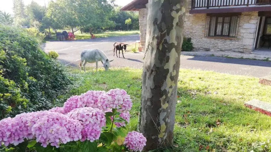 Albergue de peregrinos Gekeriz, Barrio de Gekeriz (Morga), Vizcaya - Camino del Norte :: Albergues del Camino de Santiago