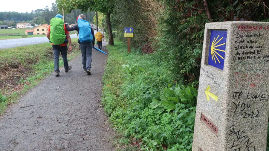 Peregrinos por el Camino de Santiago