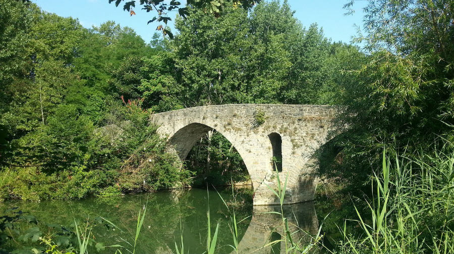 Camino de Santiago desde Sarria