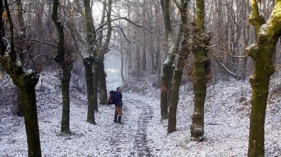 Peregrino haciendo el Camino en invierno Peregrino haciendo el Camino en invierno :: Albergues del Camino de Santiago