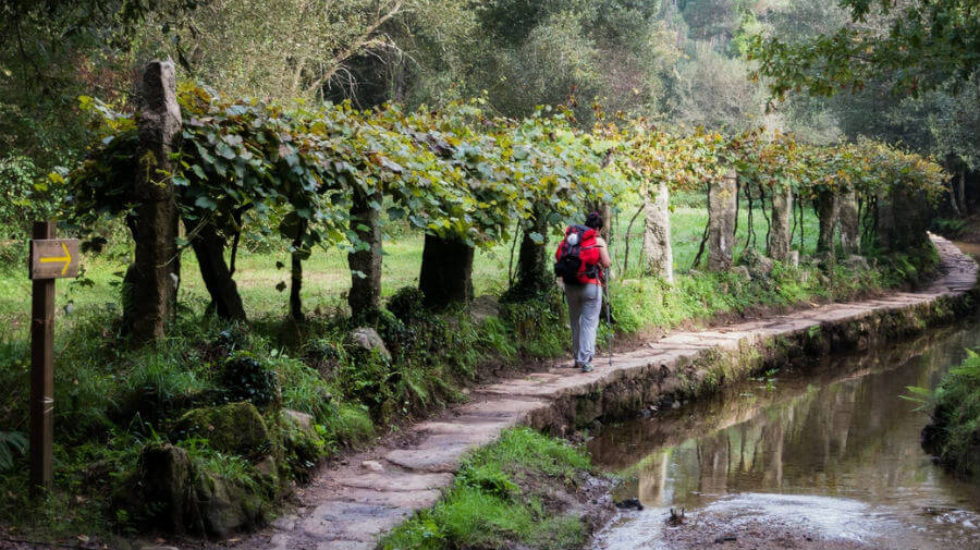 Peregrino caminando junto a un río :: Albergues del Camino de Santiago