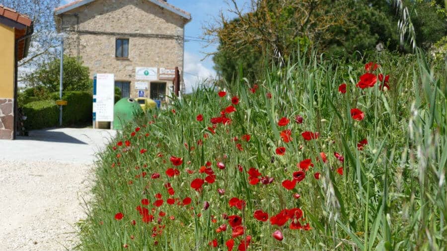 Albergue La Taberna, Espinosa del Camino - Camino Francés :: Albergues del Camino de Santiago Albergue La Taberna, Espinosa del Camino - Camino Francés :: Albergues del Camino de Santiago