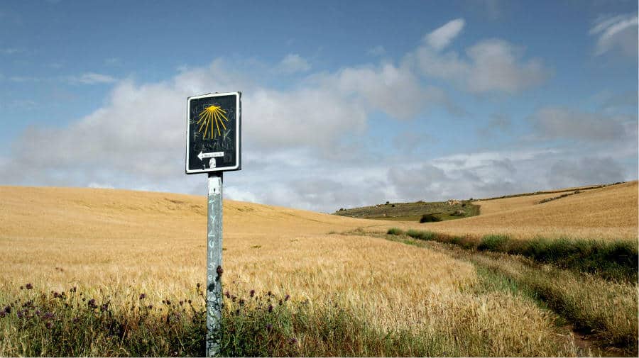 Poste con la señal identificativa del Camino de Santiago