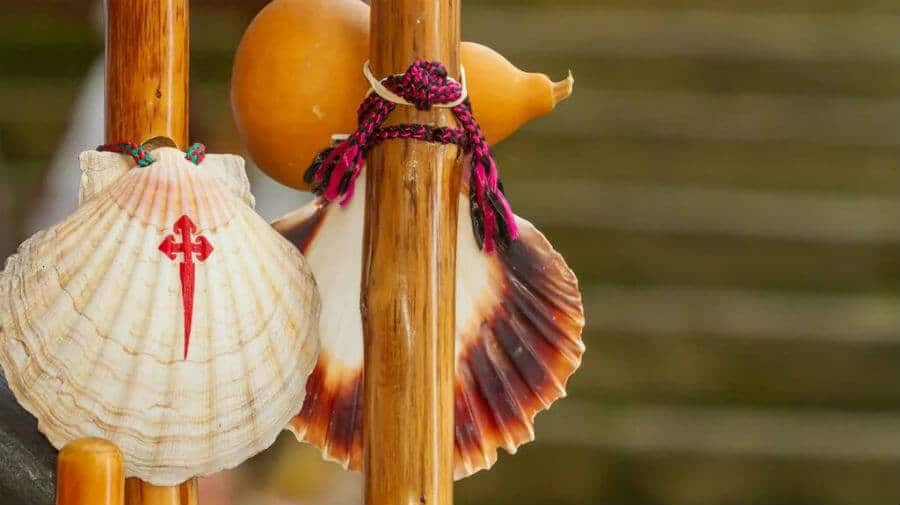 La vieira, símbolo de la peregrinación :: Guía del Camino de Santiago