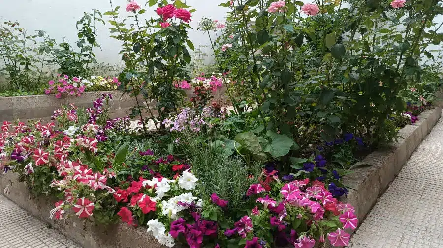 Albergue franciscano Santa María de los Ángeles, Astorga - Camino Francés :: Albergues del Camino de Santiago Albergue franciscano Santa María de los Ángeles, Astorga - Camino Francés :: Albergues del Camino de Santiago