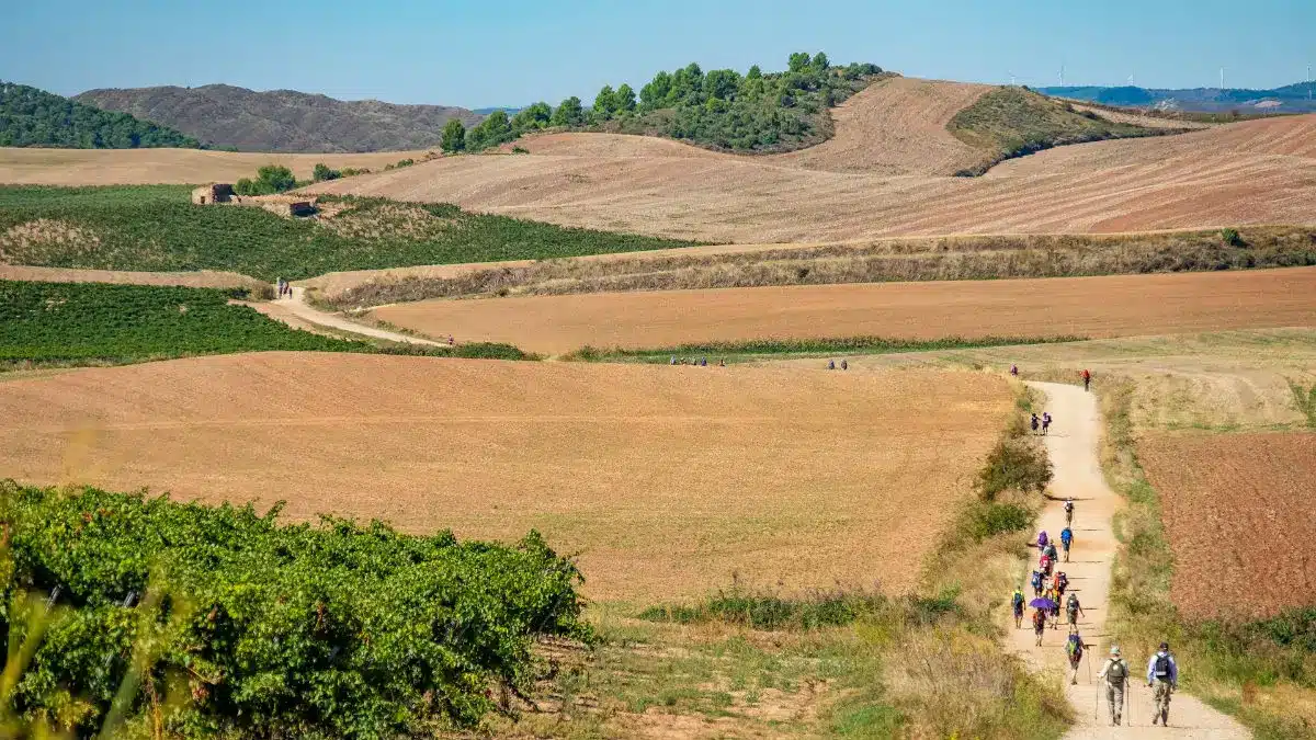 Grupo de peregrinos caminando hacia Santiago