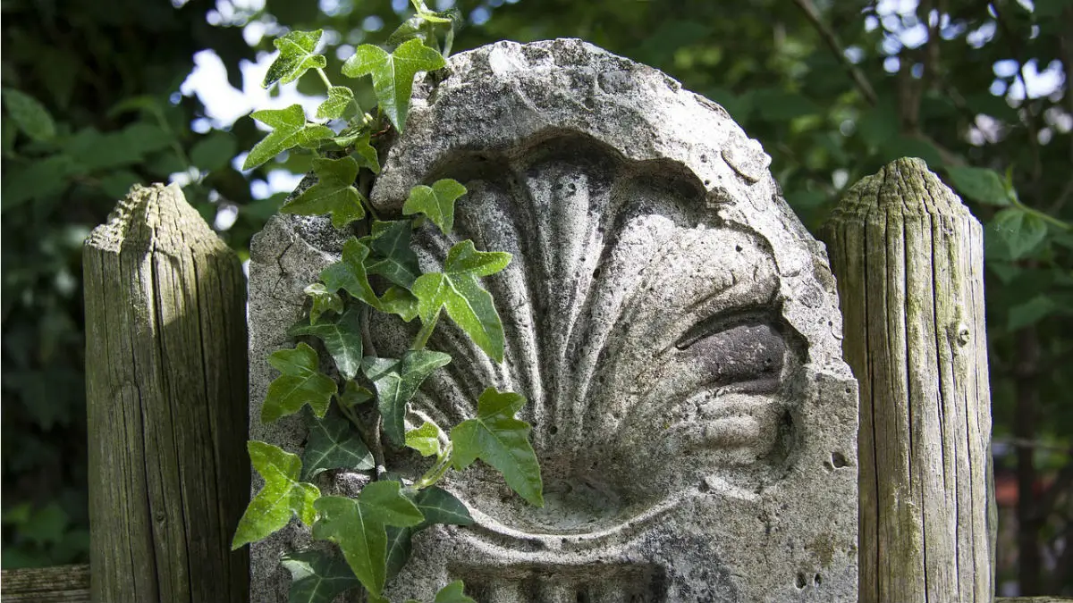 Símbolo del Camino de Santiago en piedra