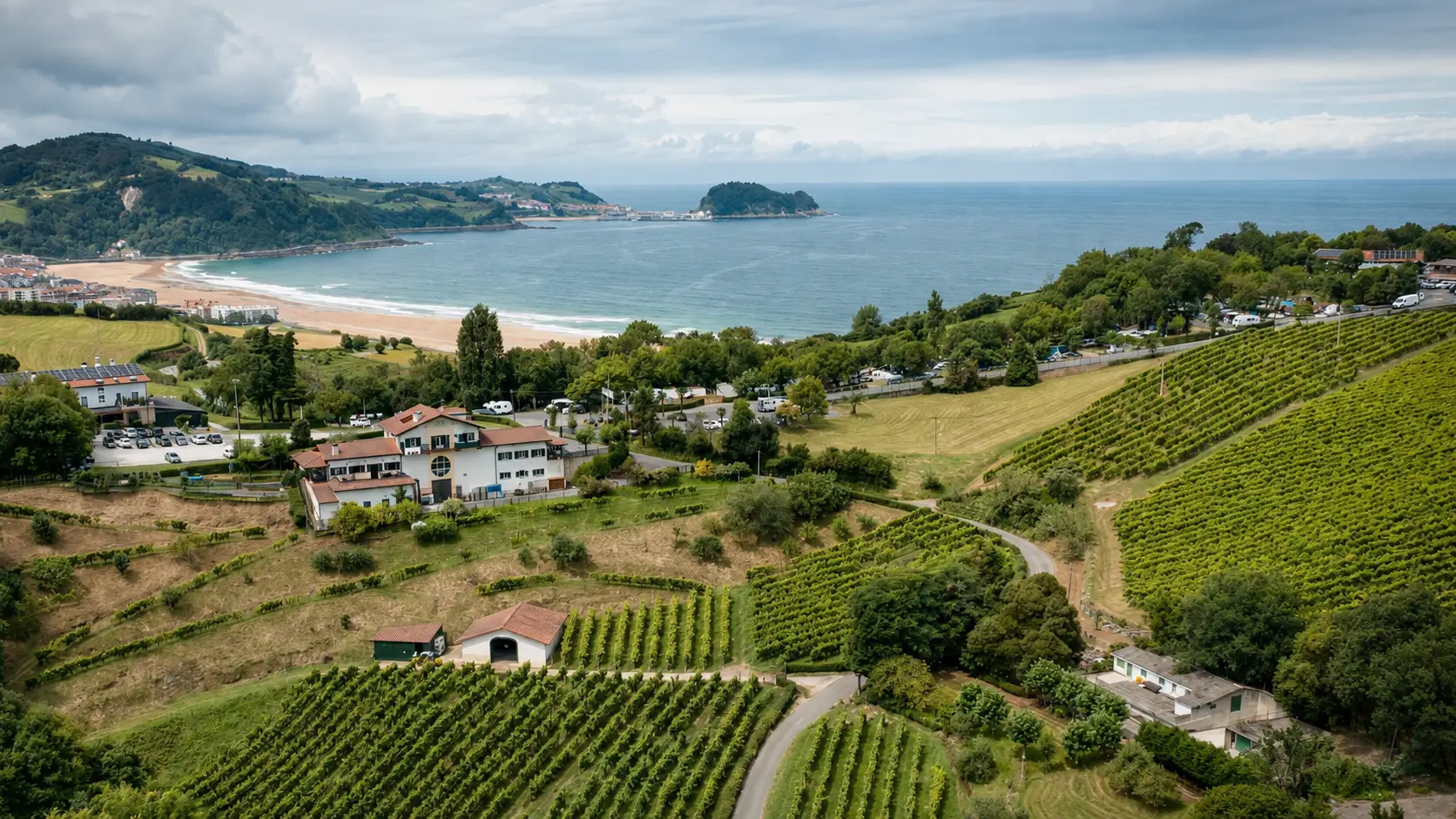 Paisaje del Camino del Norte entre viñedos, costa y mar Cantábrico